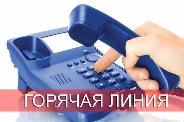 Сегодня цена выше чем вчера? Закрыли торговый объект?