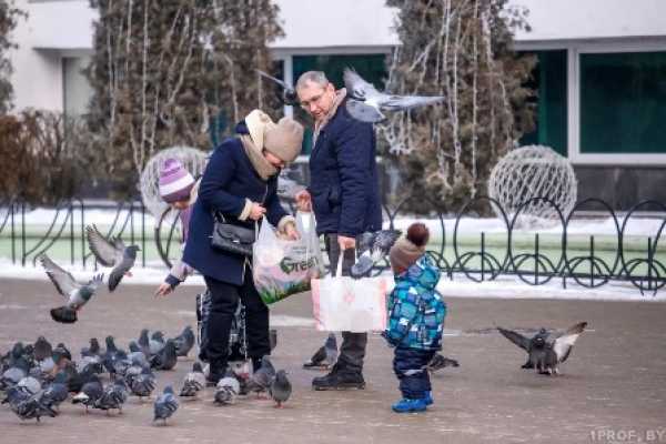БЕЛСТАТ ПОСЧИТАЛ ДОХОДЫ И РАСХОДЫ БЕЛОРУСОВ: В СРЕДНЕМ ЖИВУТ НА 1840 РУБЛЕЙ В МЕСЯЦ