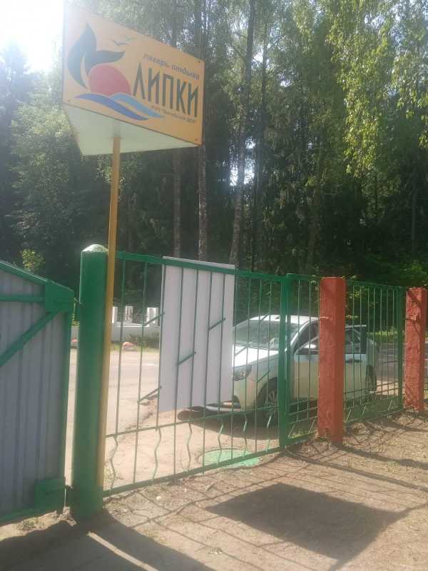 Мониторинг в ДОЛ "Липки"